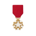 ZESTAW PIŁSUDSKI SZARY 3el