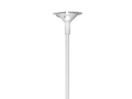 BALON LITERA D RÓŻOWY 14'' 36cm + PATYK