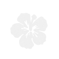 FRONT KWIATEK HIBISKUS FILCOWY BIAŁY 6x5,5cm