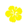 ZESTAW FRONTÓW KWIATEK HIBISKUS FILCOWE ŻÓŁTY 6x5,5cm 48szt